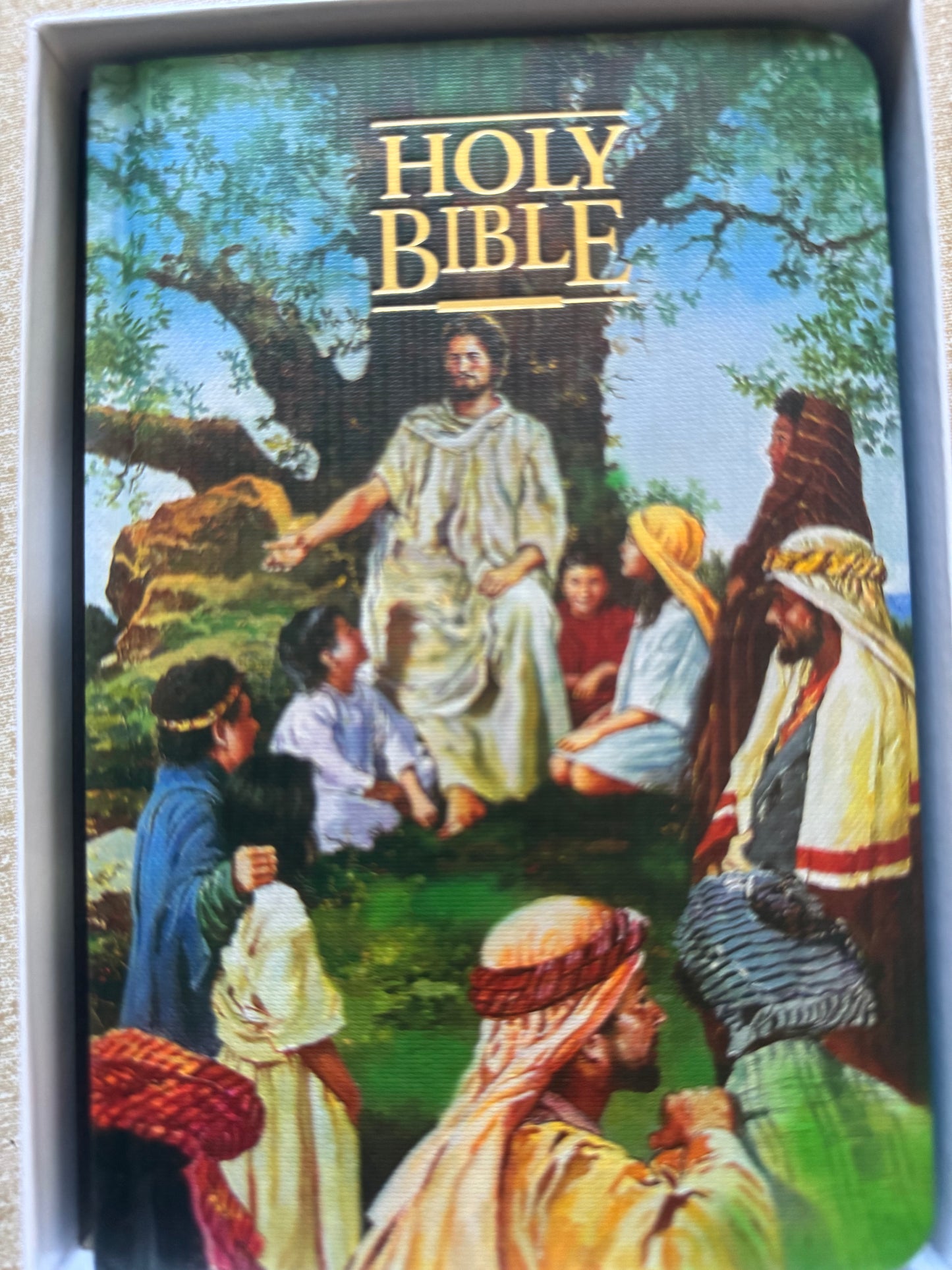 Seaside Bible