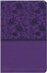 KJV Personal sized leather soft refrence bible - purple